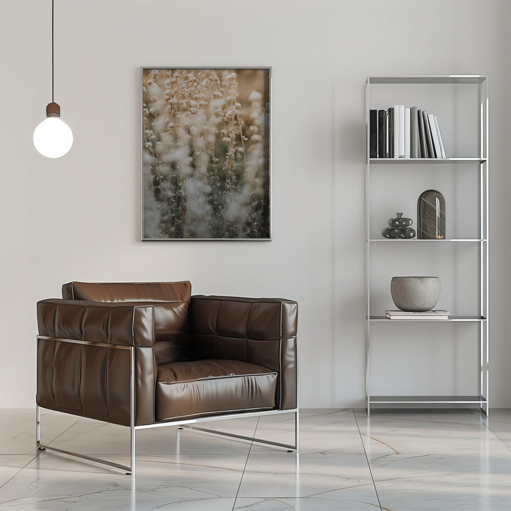 Plakat - Plants and Flowers 02 - Admen.dk