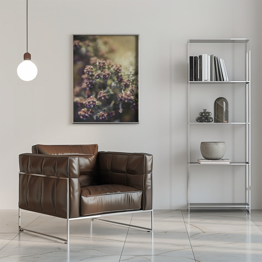 Plakat - Plants and Flowers 05 - Admen.dk