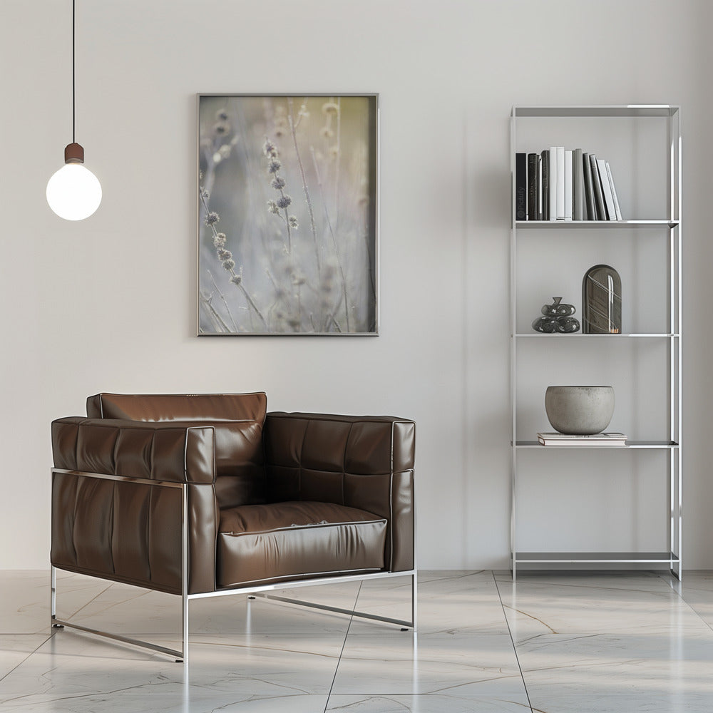 Plakat - Plants and Flowers 06 - Admen.dk