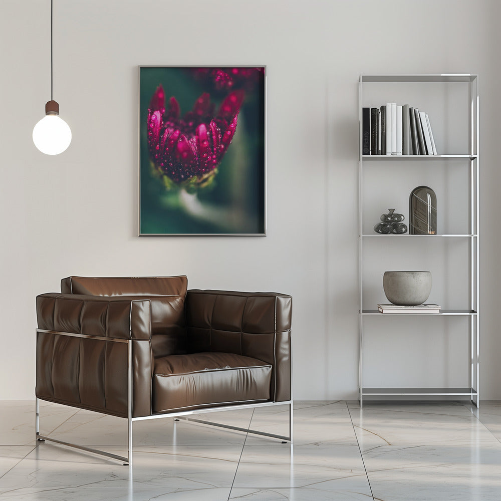 Plakat - Red Flowers 37 - Admen.dk