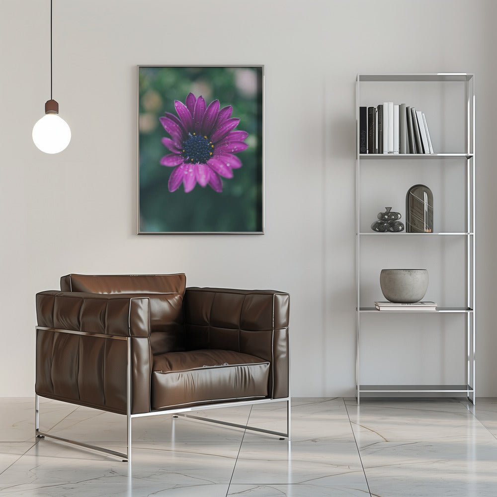 Poster - Purple Flowers 07