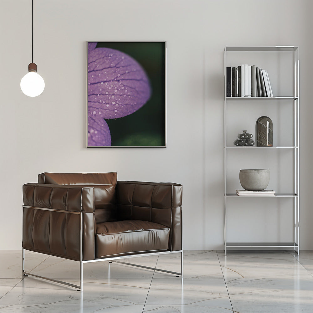 Plakat - Purple Flowers 19 - Admen.dk