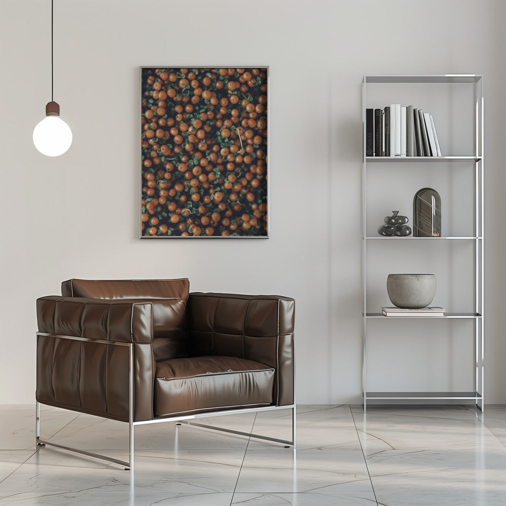 Plakat - Red Berries 02 - Admen.dk
