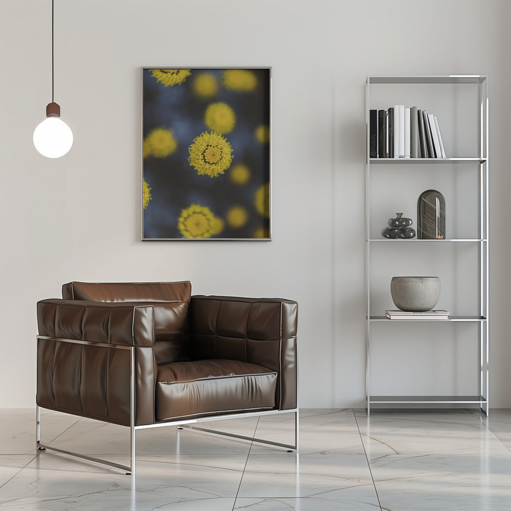 Plakat - Summer Flowers 24 - Admen.dk