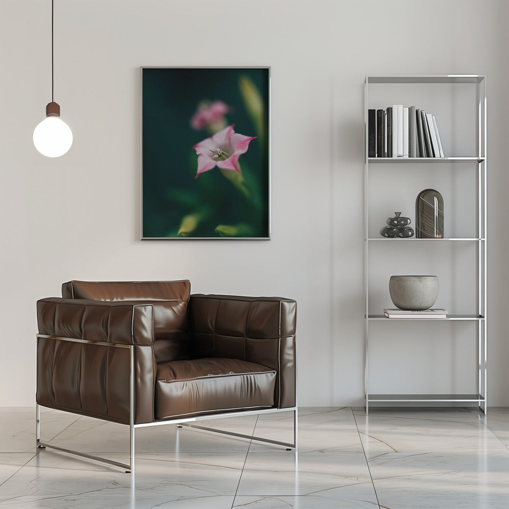 Plakat - Summer Flowers 105 - Admen.dk