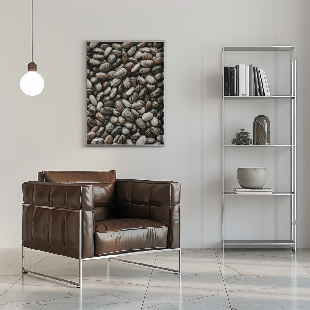 Plakat - Chia Seeds - Admen.dk