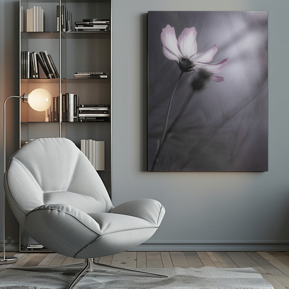 Canvas - Cosmos - Admen.dk