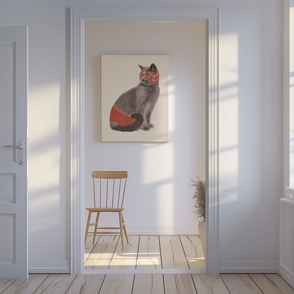 Canvas - Chat Catcheur - Admen.dk