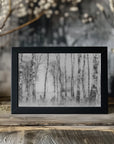 Plakat - Black and white