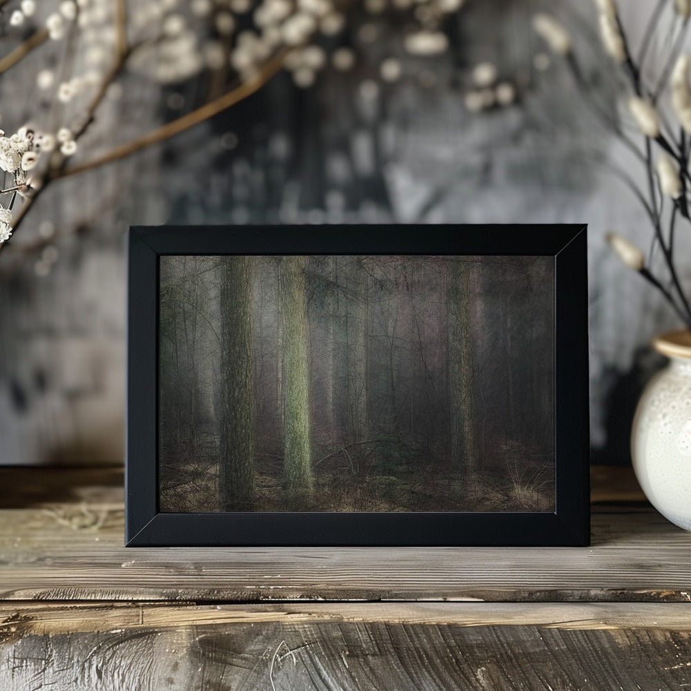 Plakat - Larch
