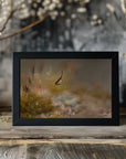 Plakat - Moss world