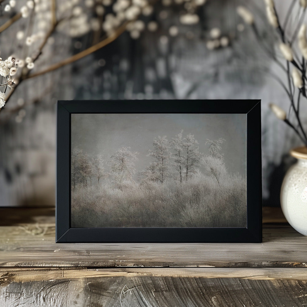 Plakat - Cold morning
