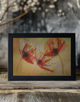Plakat - Poppy seeds