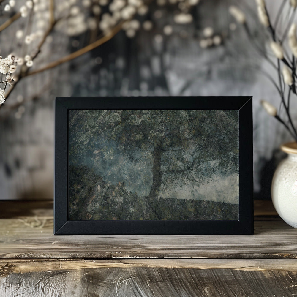 Plakat - Rocks and a tree