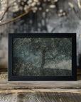 Plakat - Rocks and a tree