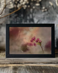 Plakat - Soft and light