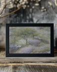 Plakat - Flowering heather