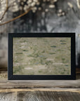 Plakat - The park pond