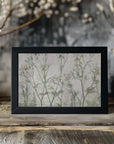 Plakat - Cow parsley