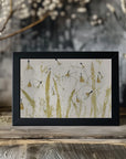 Plakat - Snowdrops