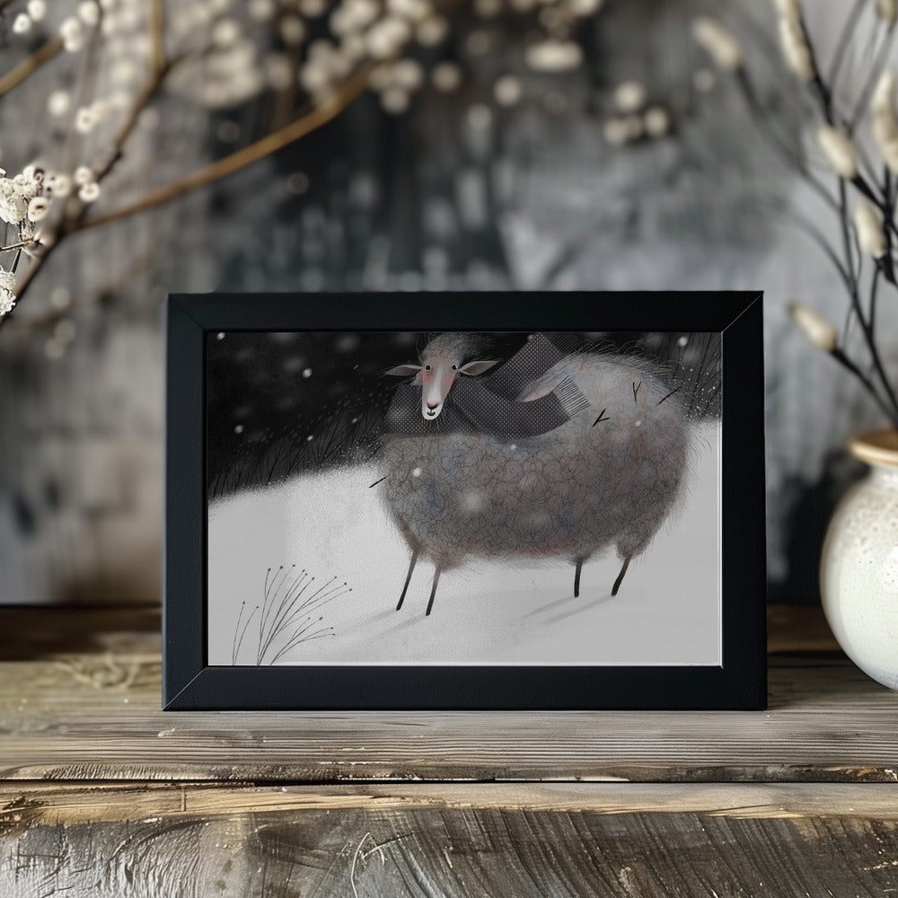 Poster - Sheep