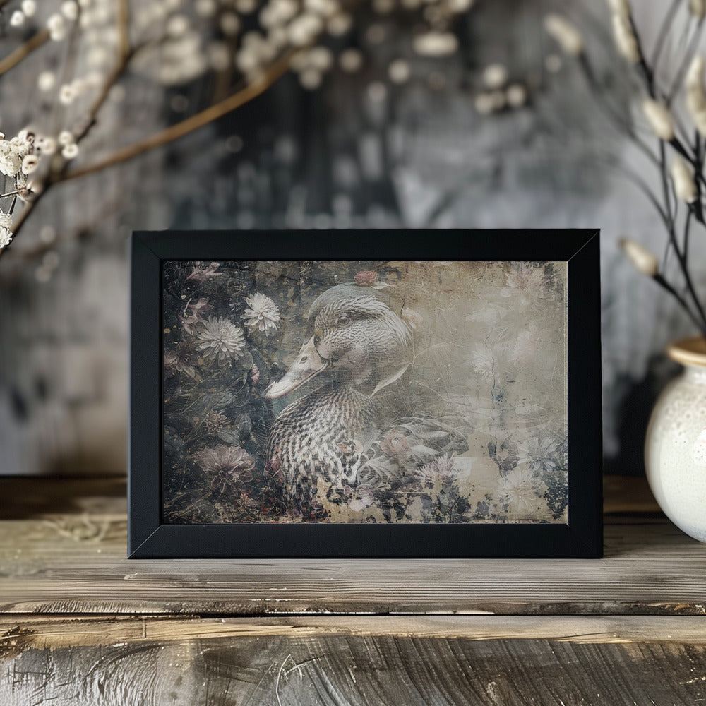 Poster - Duck Animal Vintage Art Illustration Wallart 05