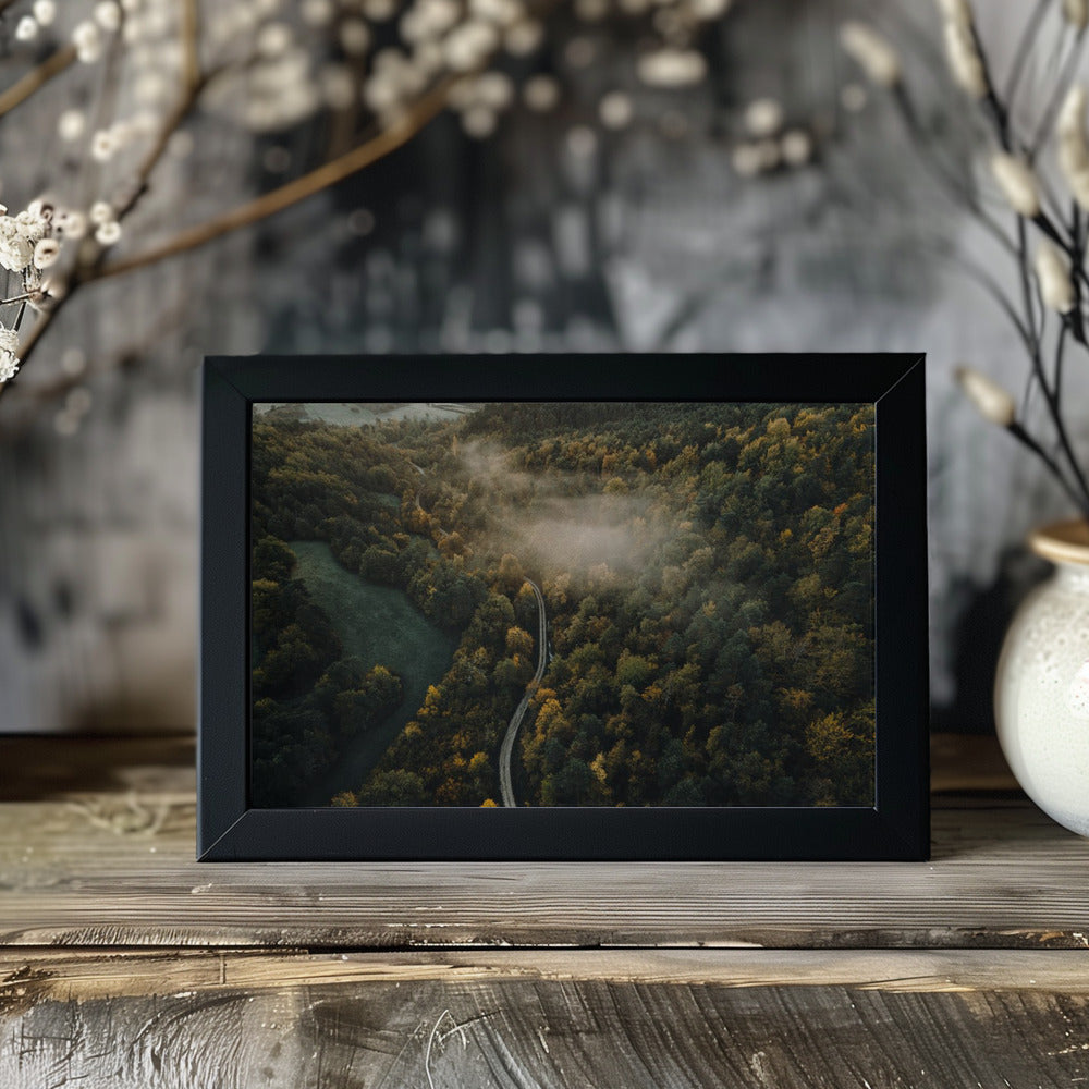 Plakat - Autumn Forest 05 - Admen.dk