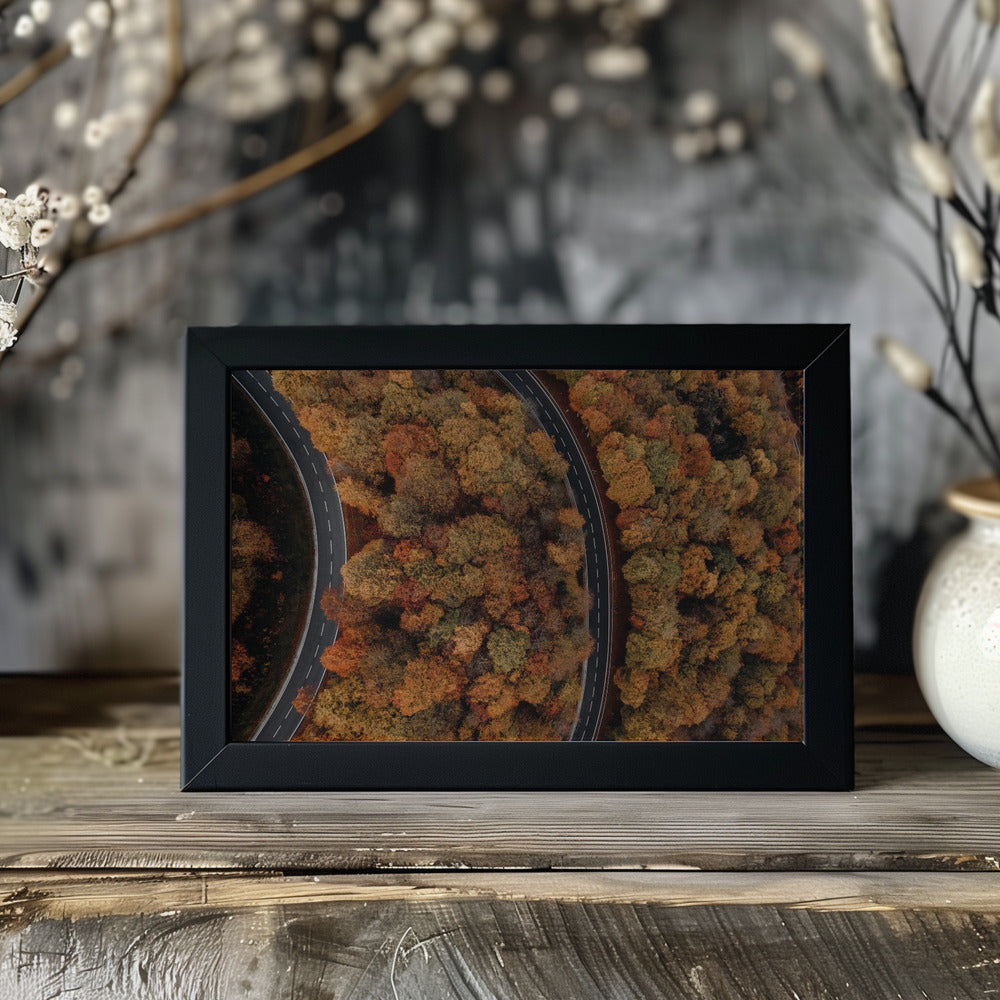 Plakat - Autumn Forest 06 - Admen.dk
