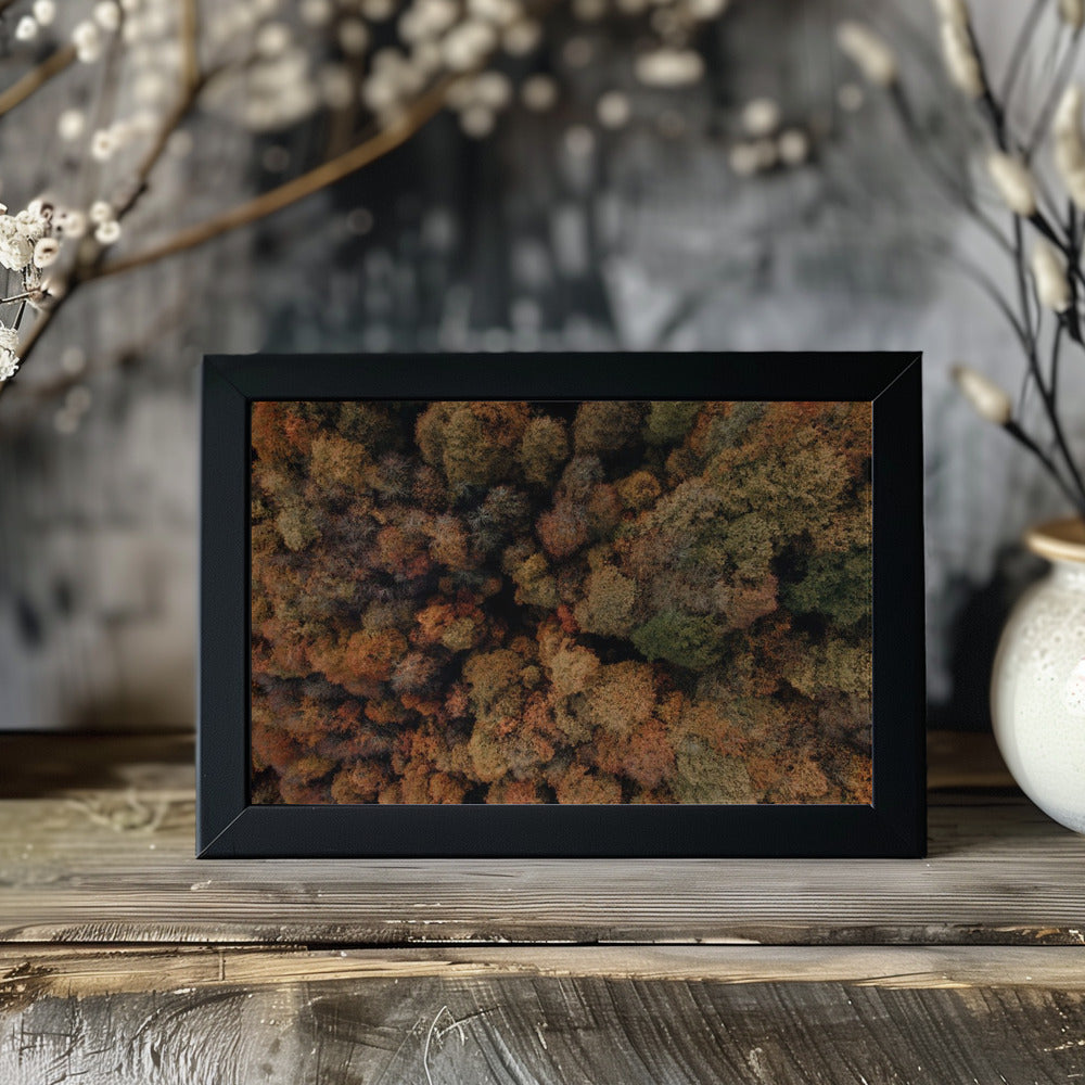 Plakat - Autumn Forest 07 - Admen.dk