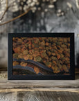 Plakat - Autumn Forest 08 - Admen.dk