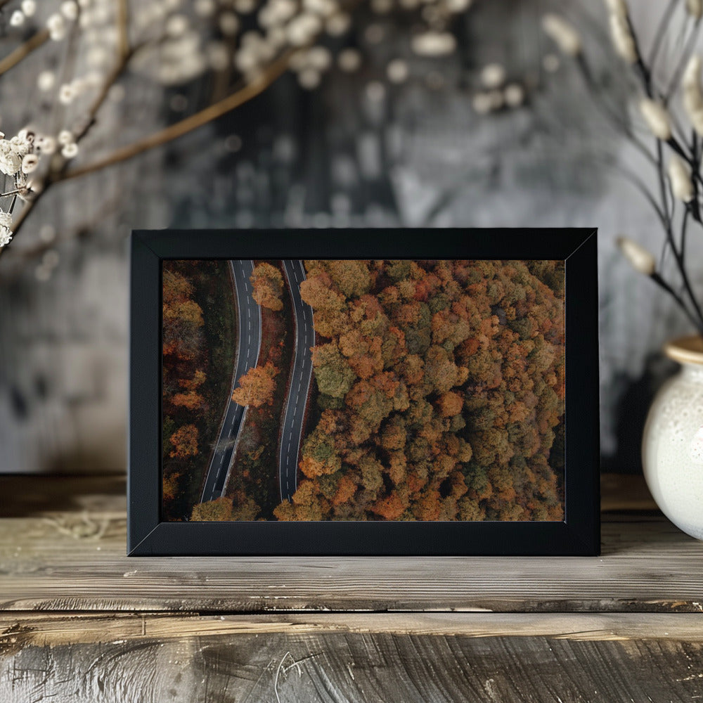 Plakat - Autumn Forest 09 - Admen.dk