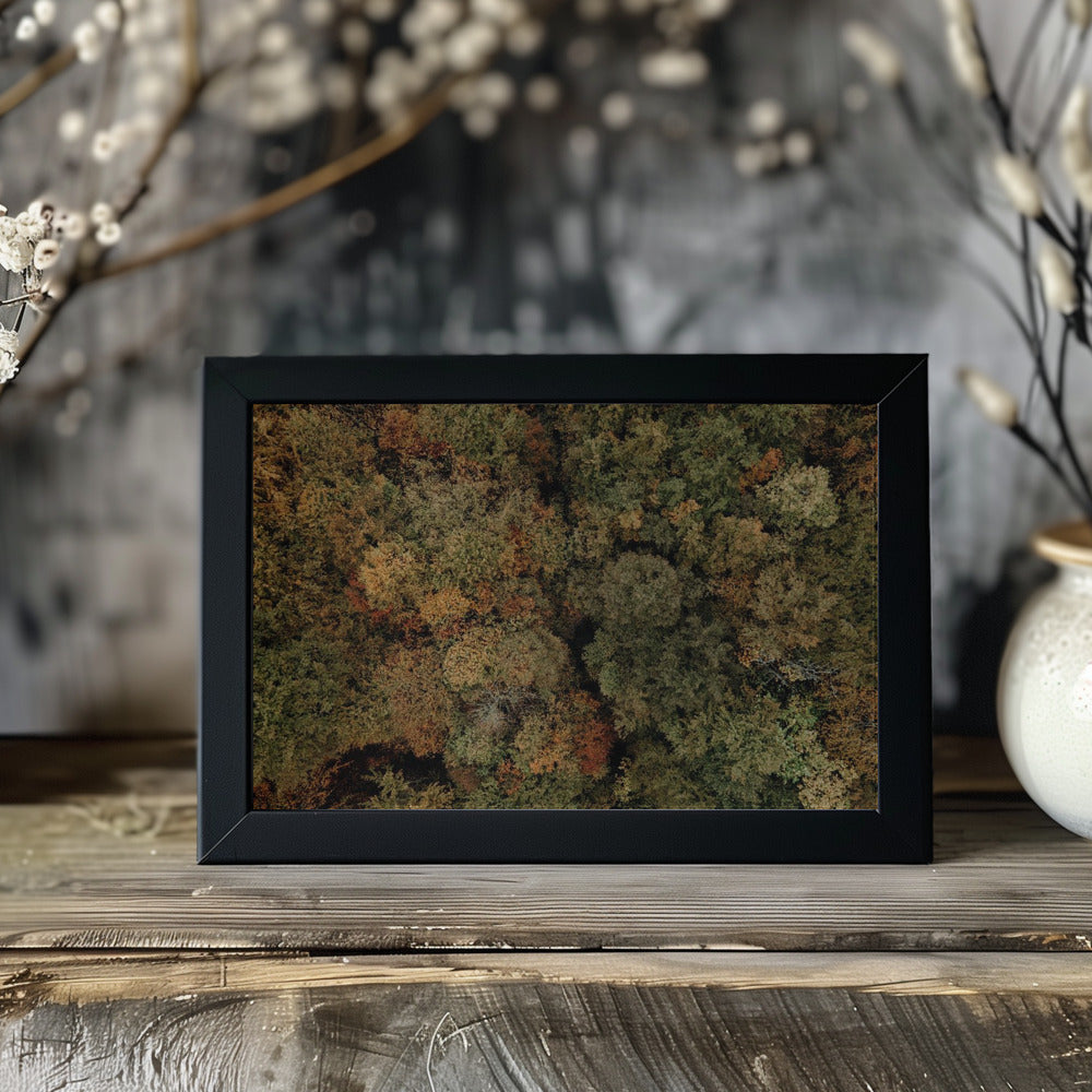 Plakat - Autumn Forest 10 - Admen.dk