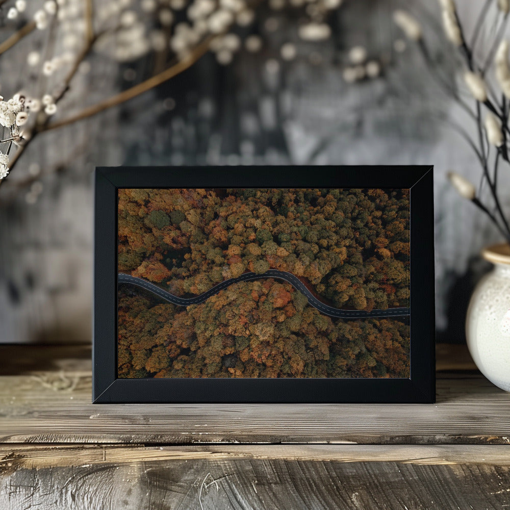 Plakat - Autumn Forest 11 - Admen.dk
