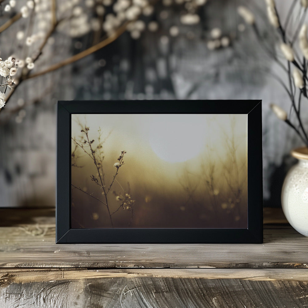 Plakat - Morning Grass Filelds 12 - Admen.dk