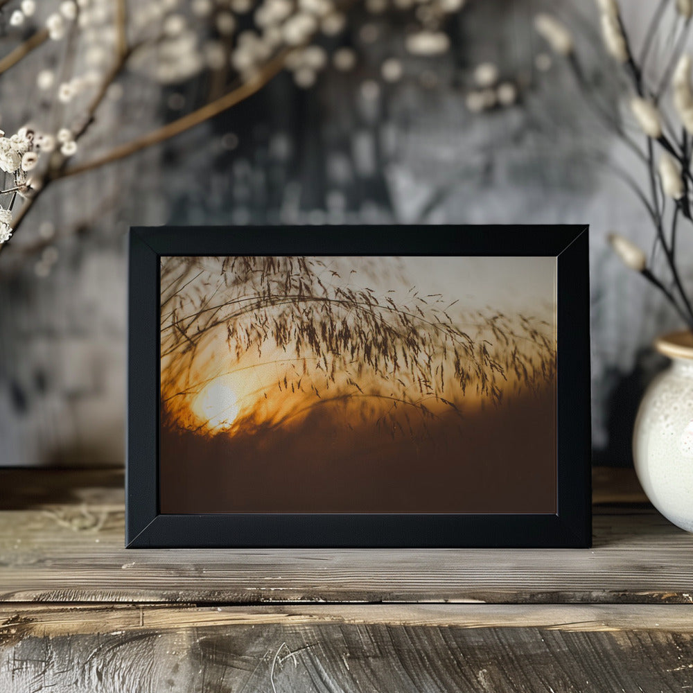 Plakat - Morning Grass Filelds 13 - Admen.dk