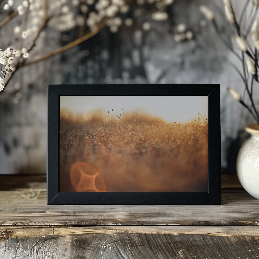 Plakat - Landscape 04 - Admen.dk
