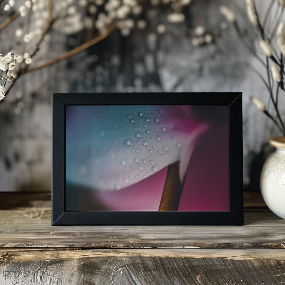 Plakat - Pink Flowers 011 - Admen.dk