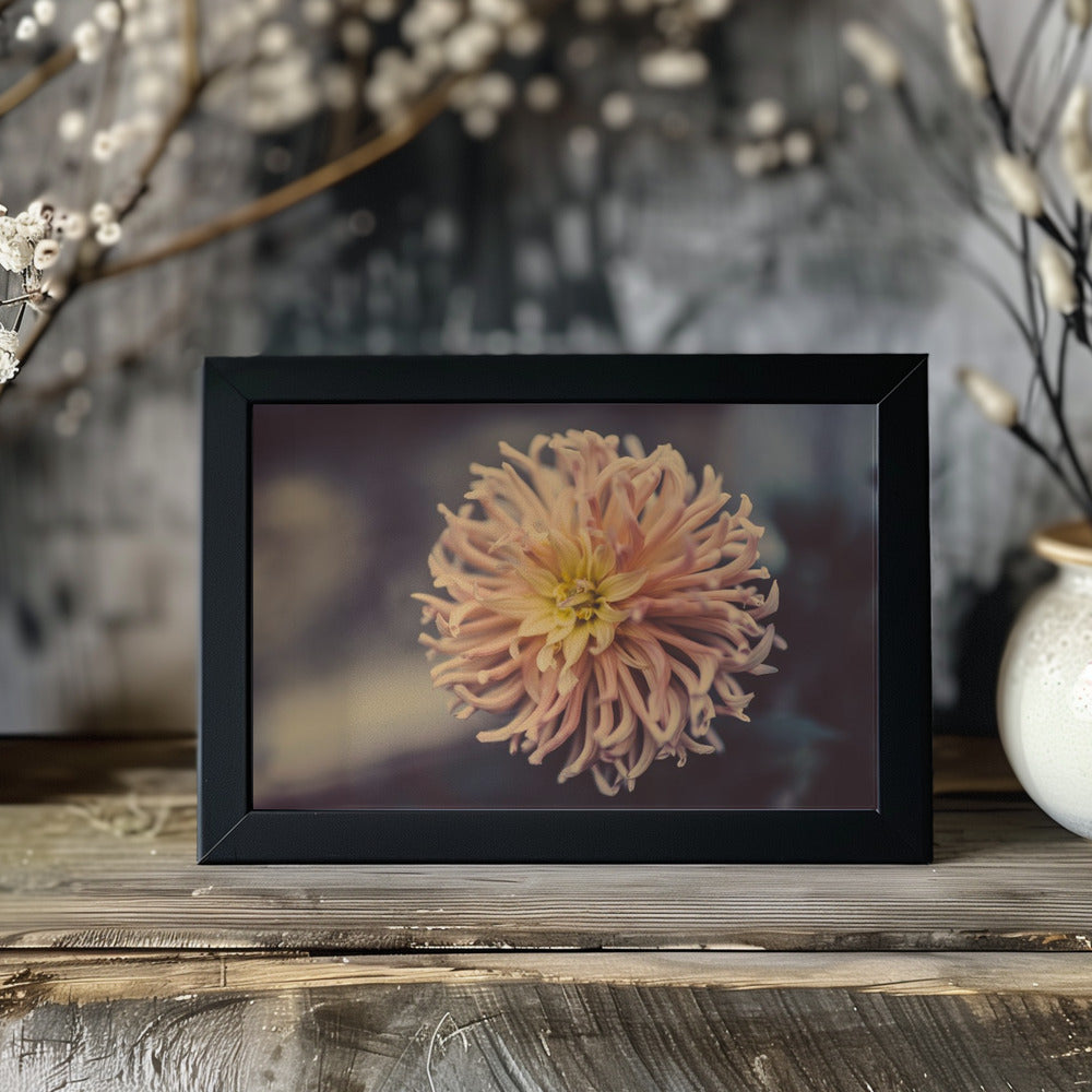 Plakat - Summer Flowers 79 - Admen.dk