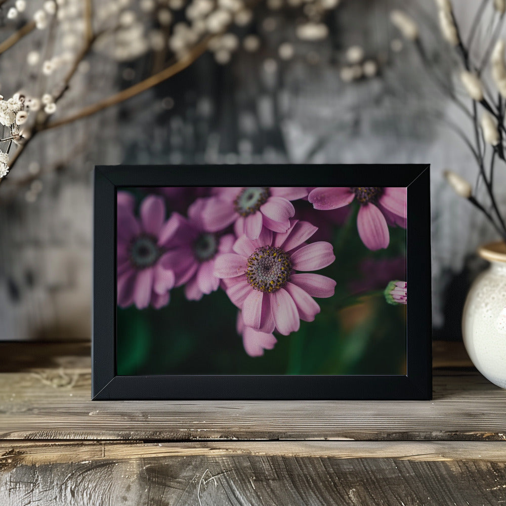 Plakat - Summer Flowers 99 - Admen.dk