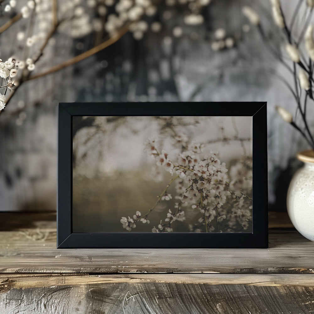 Plakat - Apple Trees 01 - Admen.dk