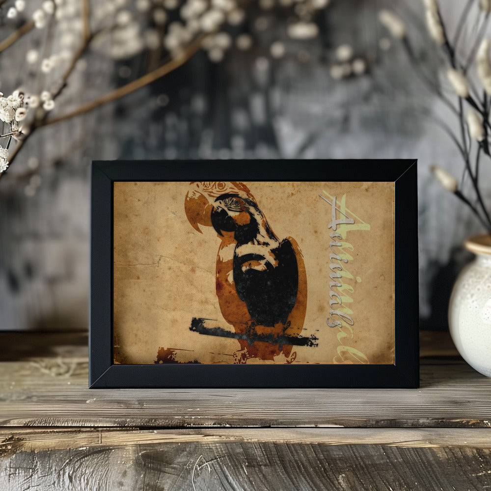 Plakat - Parrot 90s 25
