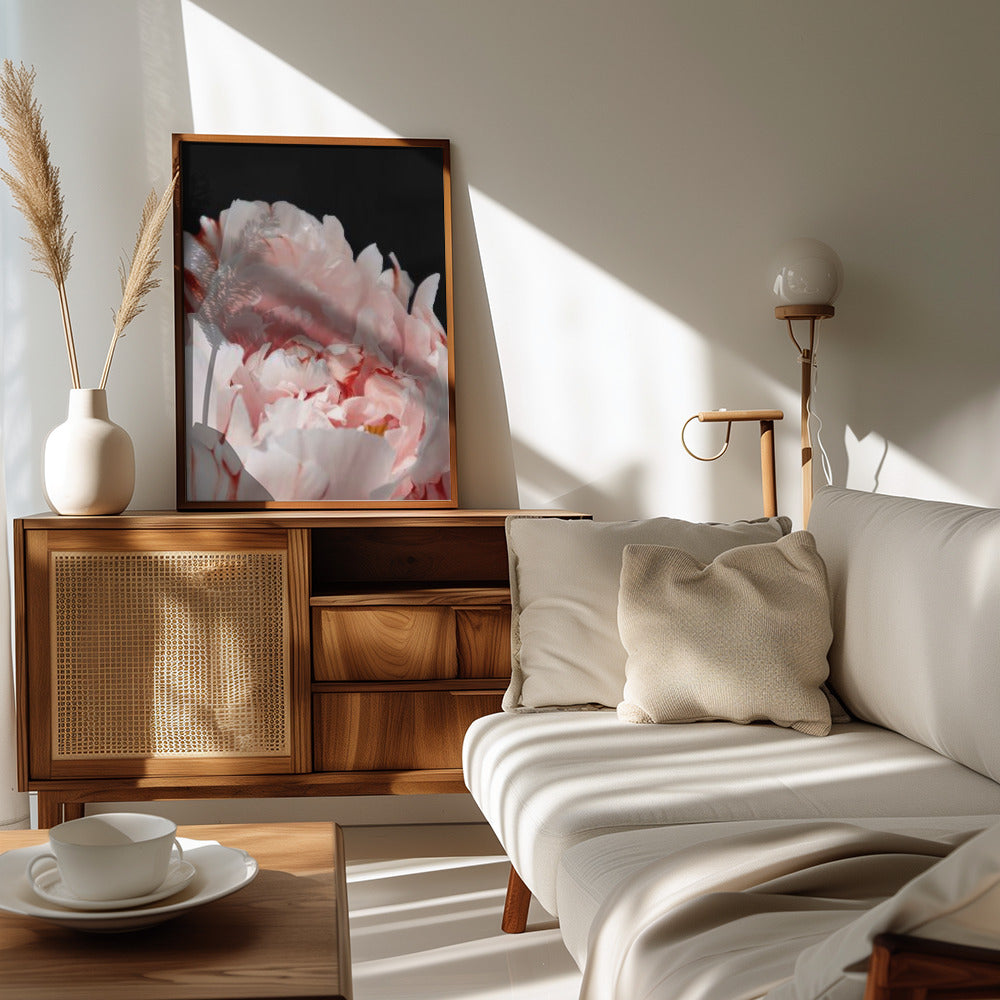 Poster - Blush peony VIII