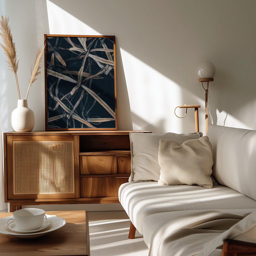 Plakat - Dried plants - Admen.dk
