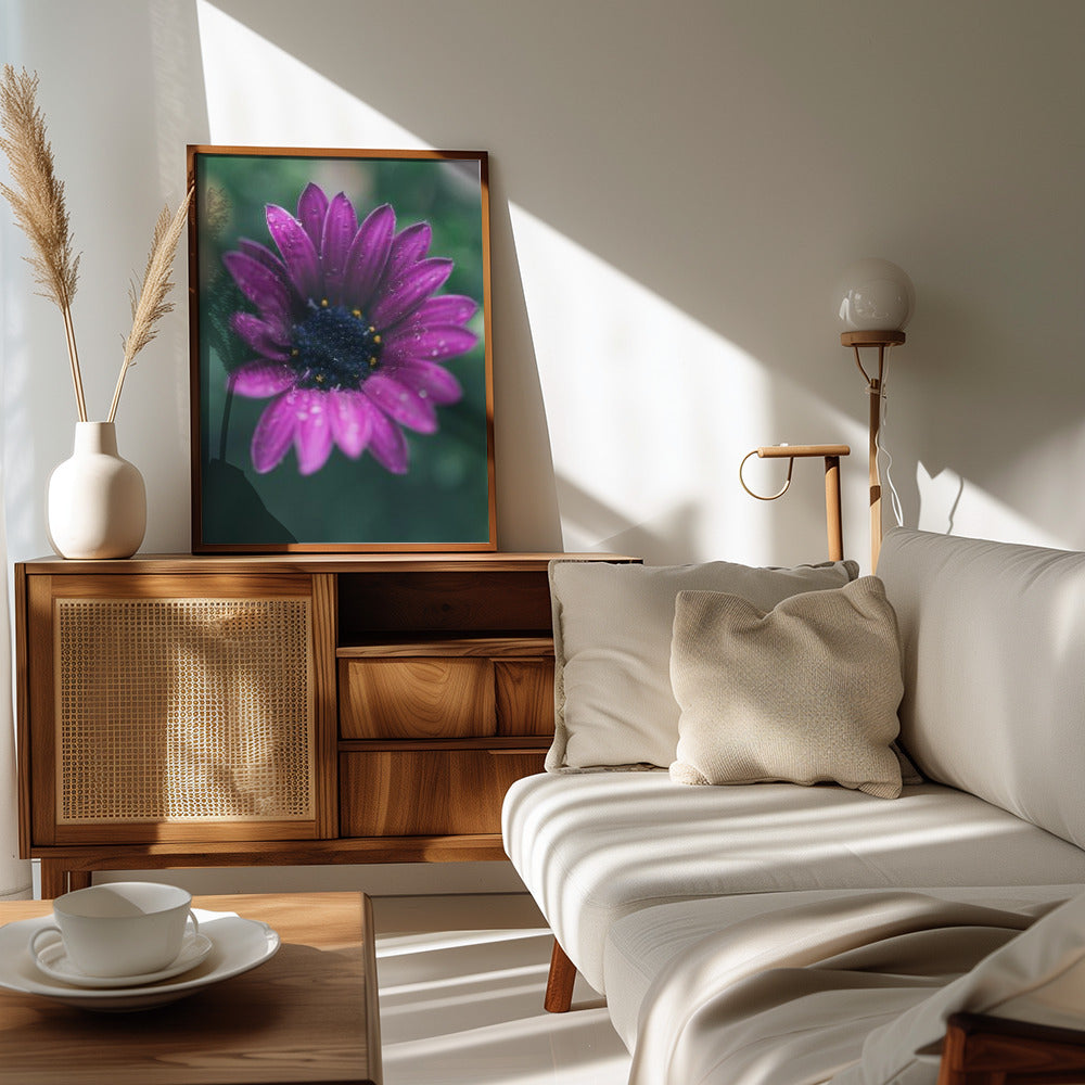 Poster - Purple Flowers 07