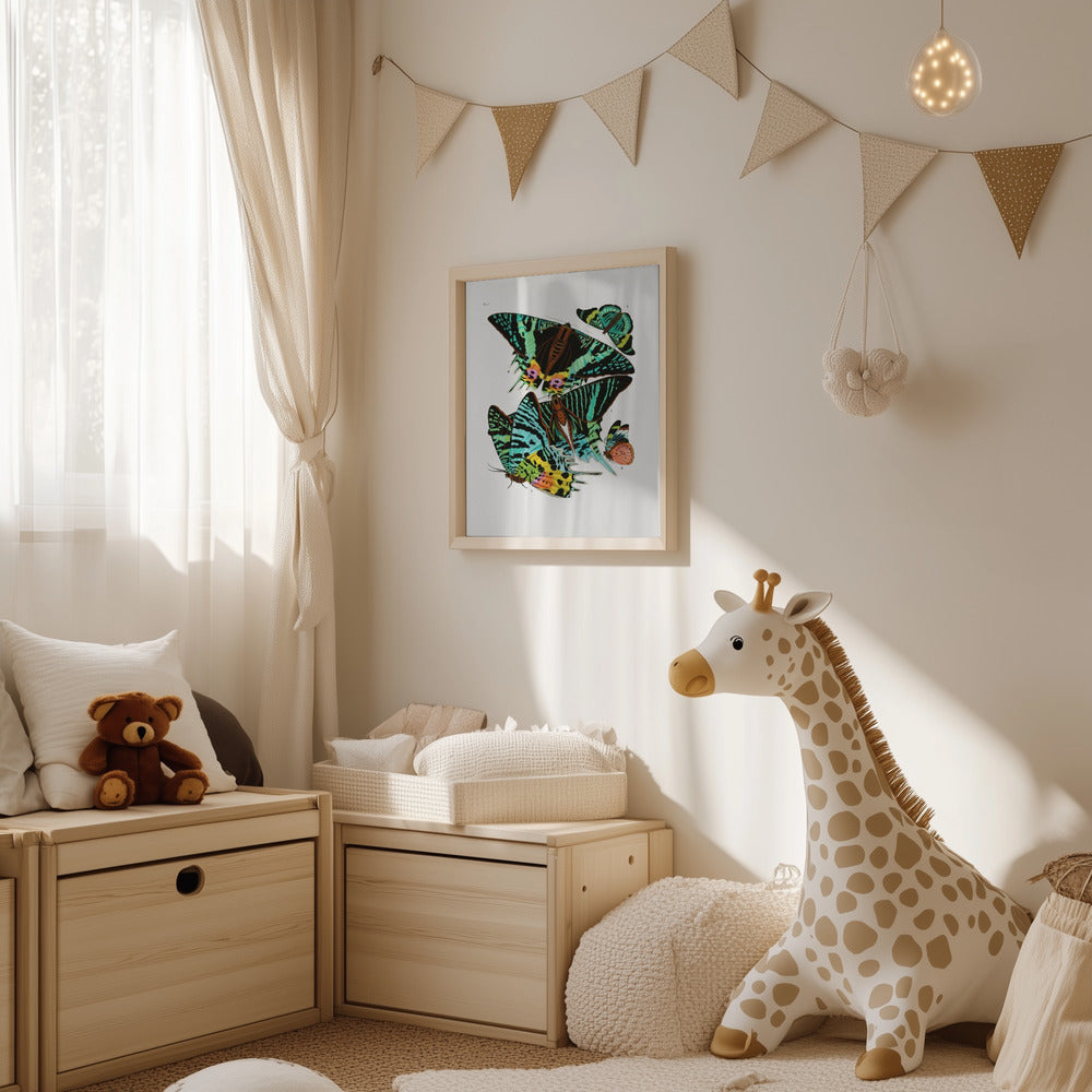 Poster - Butterflies 3