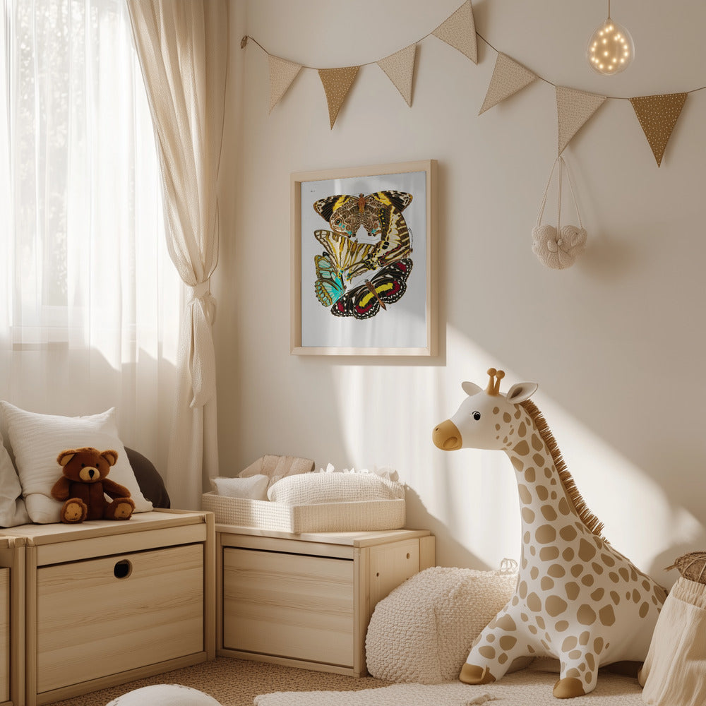 Poster - Butterflies 10
