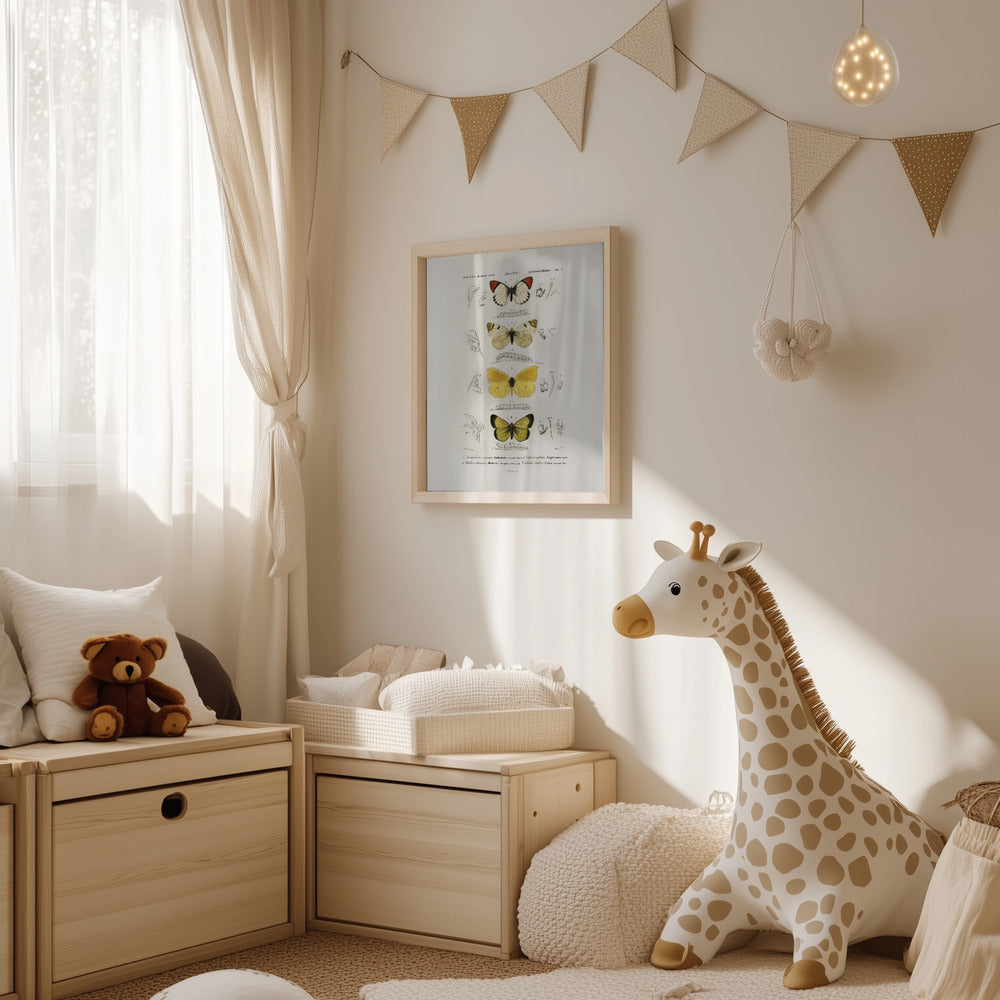 Plakat - Different Types of Butterflies - Admen.dk