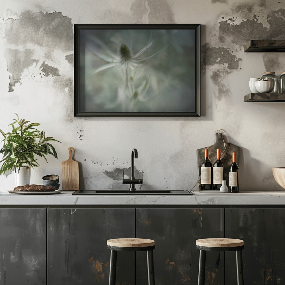 Plakat - Teasel