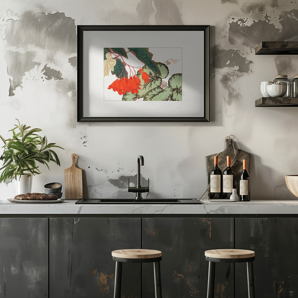 Poster - Cracklin Rosie Begonia Flower