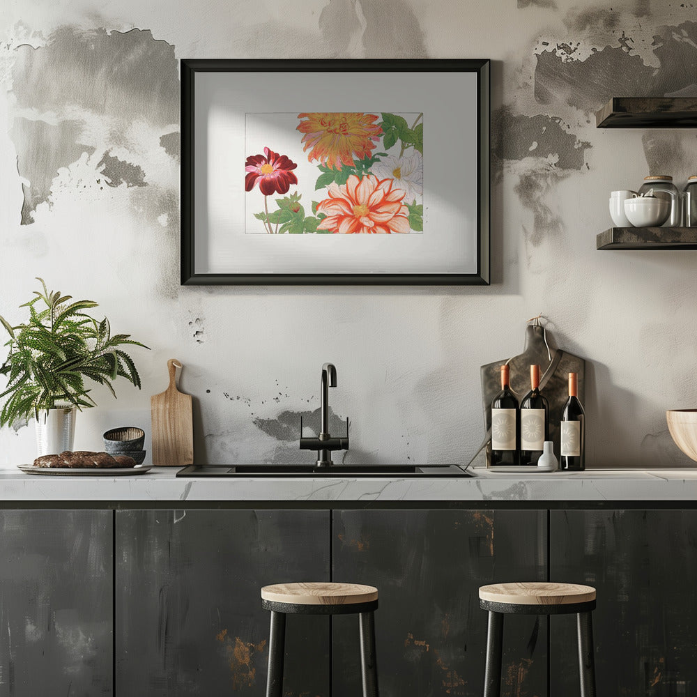 Poster - Dahlia Flower